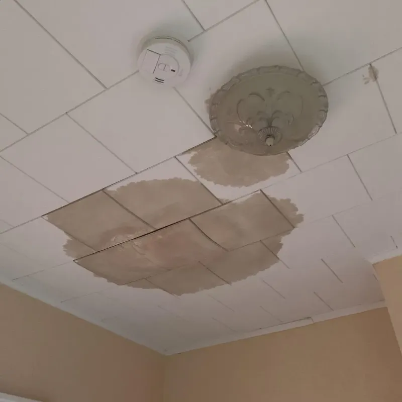 Ceiling Water Damage Repair in Harvest, AL