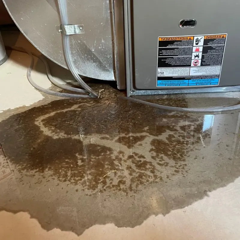 Pipe Burst and Leak Restoration in Harvest, AL